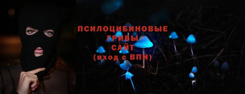 наркошоп  Дорогобуж  Галлюциногенные грибы Psilocybe 